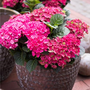 URLAUBSPARADIES GESUCHT?