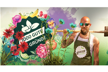 CHRISTROSEN PFLANZEN UND PFLEGEN