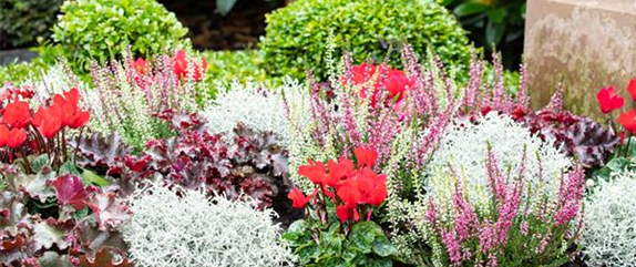 DAS GRAB IM HERBST! DAS GRAB IM HERBST!
