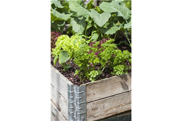 DAS DIY-HOCHBEET!