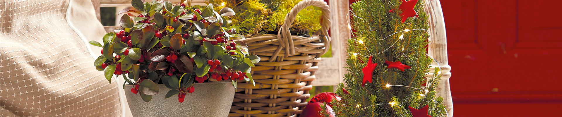 WINTERLICHE GESCHENKIDEEN! 