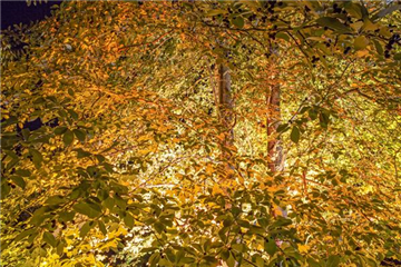 LICHTQUELLEN MACHEN DEN GARTEN SCHöNER! LICHTQUELLEN MACHEN DEN GARTEN SCHöNER!