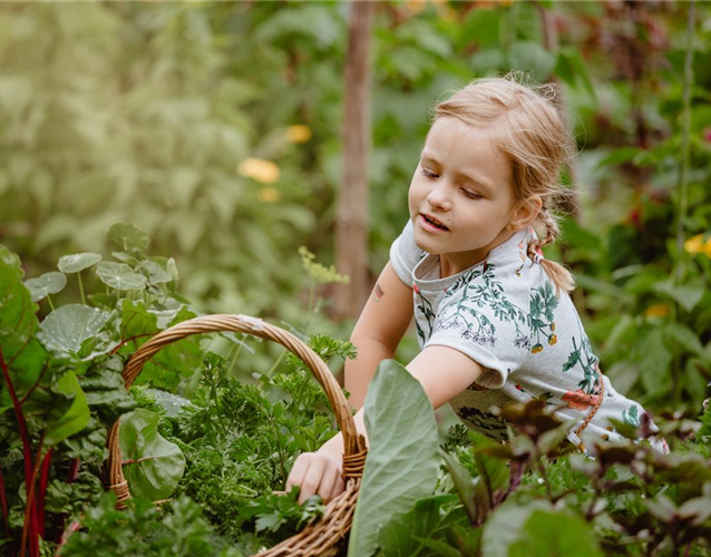 KINDER SPIELERISCH IN DIE ERNTE EINBEZIEHEN