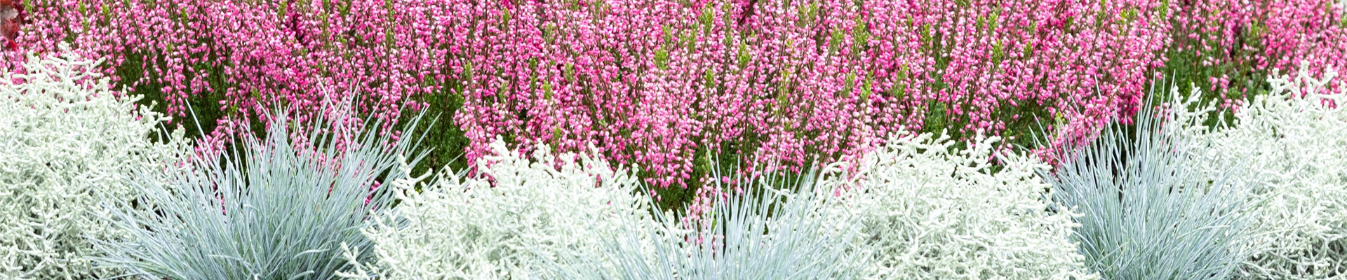 ZEIT DER ERINNERUNG!