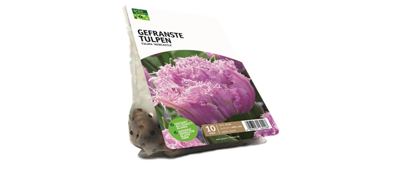 JETZT PFLANZEN, SPäTER STAUNEN!