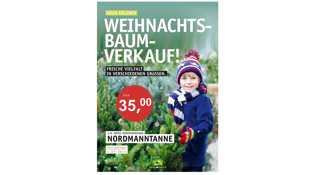 Nordmanntanne_1weihnachtsbaum.jpg Nordmanntanne_1weihnachtsbaum.jpg
