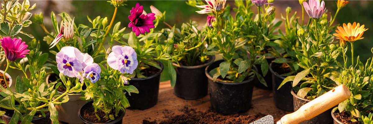 Buch des Monats: Januar!