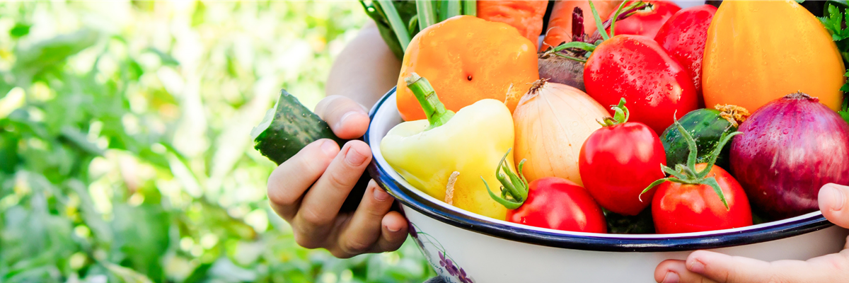 Buch des Monats: April!