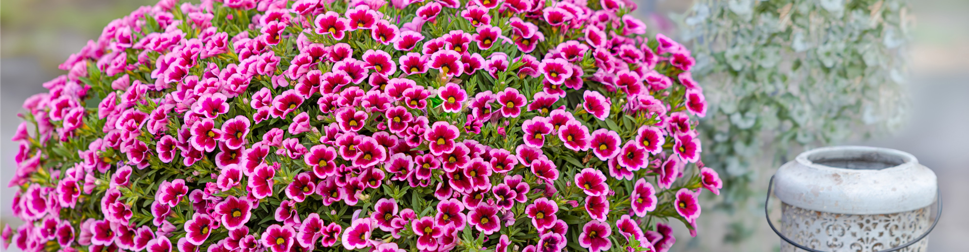 Veranstaltungen und Events