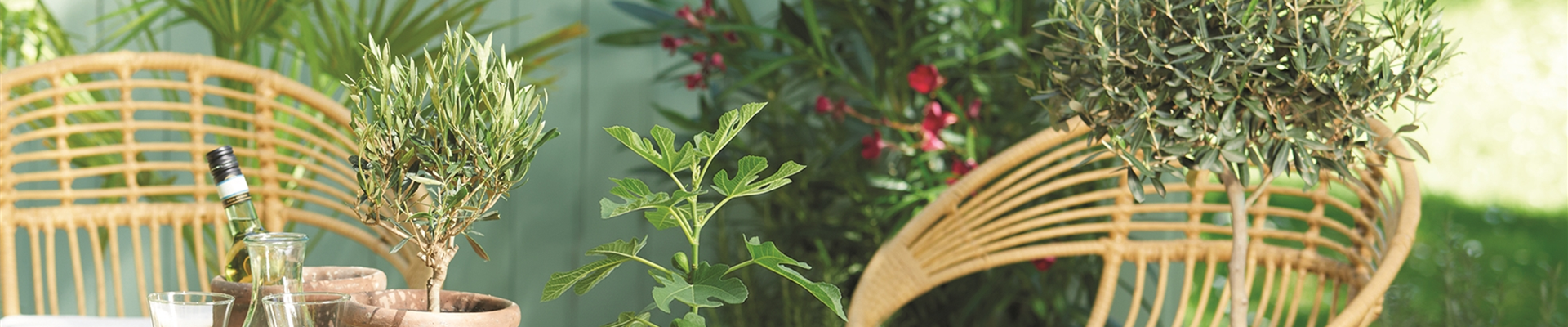 URLAUBSGEFÜHLE ZUHAUSE! 