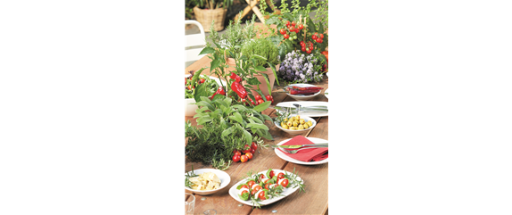 URLAUBSGEFÜHLE ZUHAUSE! 