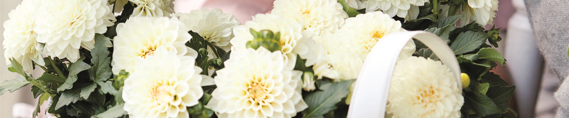 URLAUB AUF DEM BALKON! 