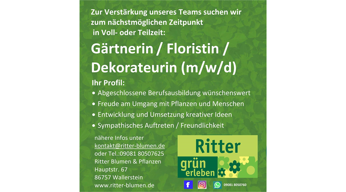 stellenanzeige_aug_2026_1.jpg